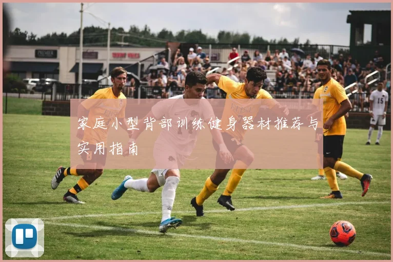 家庭小型背部训练健身器材推荐与实用指南